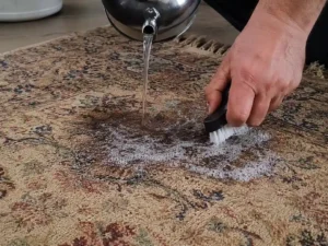 remove coffee stains from rugs