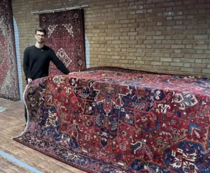 the ultimate guide to rug care